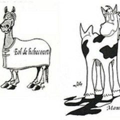 maud
