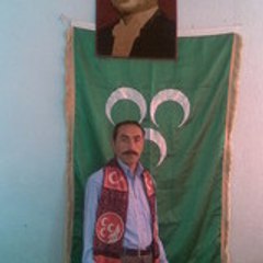 mustafa dolu