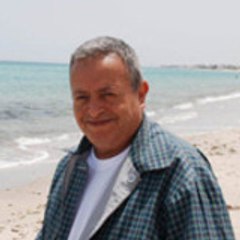 Taoufik Gassab