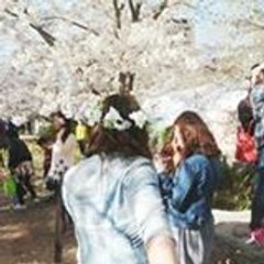 Fti Primadonna