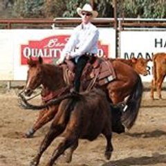 Bulik Training Stables