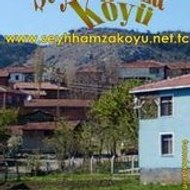 Şeyhhamza Burak Yıldırım