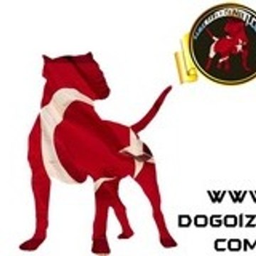 dogoizmit