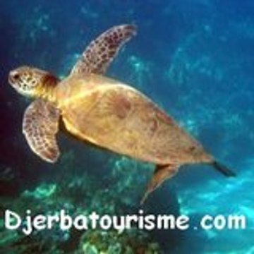 djerba tourisme