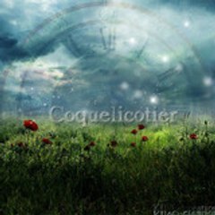 Kinoko Quelicot