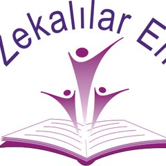 Üstün Zekalılar Enstitüsü