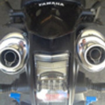 phantera65