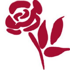 FilRoses-LeTempsdesRoses