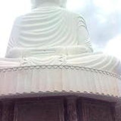 bentq2011