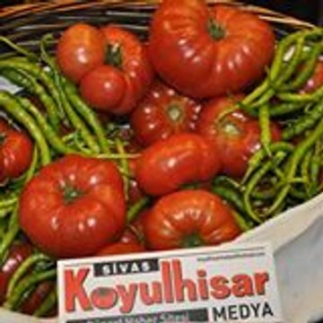 medyahaber