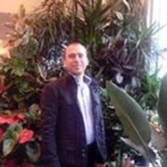 Александр_Шев