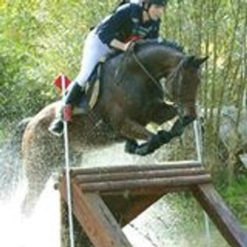 Mécanique Equestre