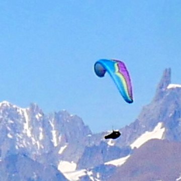 Piero Tarentaise