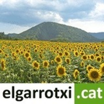 elgarrotxicat
