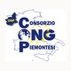 Consorzio Ong Piemontesi