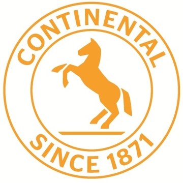 TheAutomotiveGroup