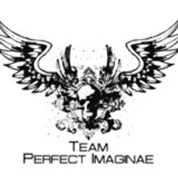 Team-Perfect-Imaginae