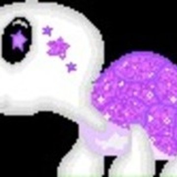 véronique chojnacki