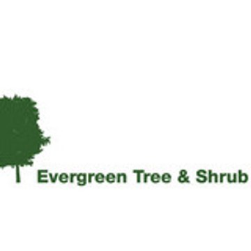 evergreentreecomp