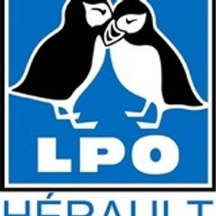 LPO Hérault