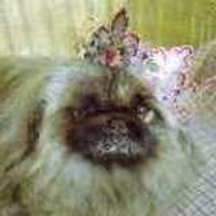 Titou FRANCE