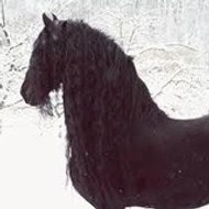 Mélina Petitberghien