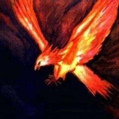 phenix_76600