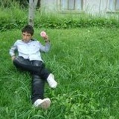 uqur lice kurt lice kurt