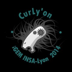 INSA ADN Concept Club - Team iGEM Lyon