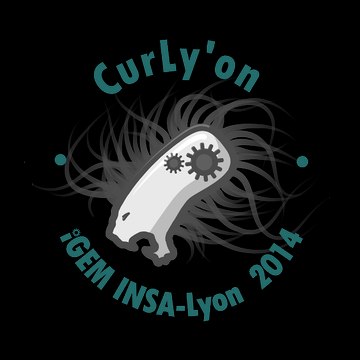 INSA ADN Concept Club - Team iGEM Lyon