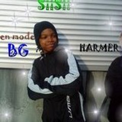 HarmerTheBoss