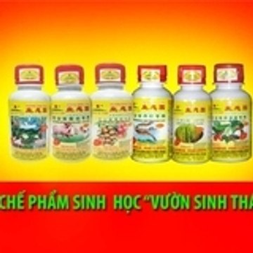 chephamsinhhoc