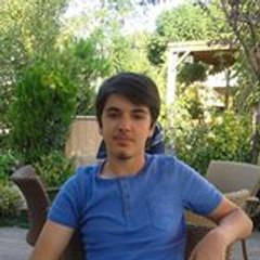 Tehliqe Li