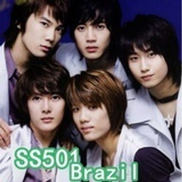 SS501brazsil