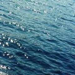 KopelMusicParis2