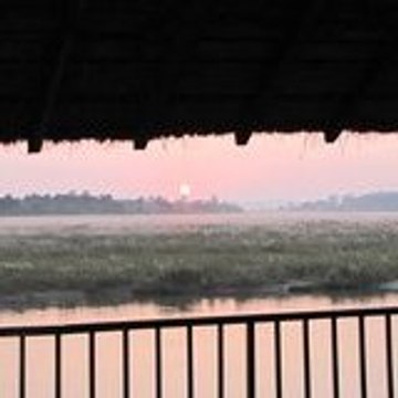 Jungle sunset camp