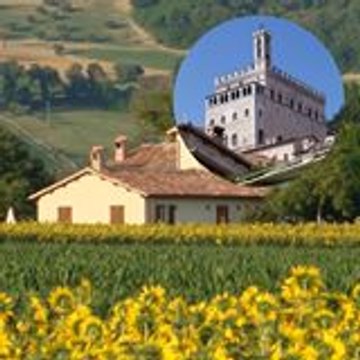 fontecese