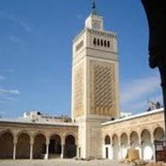hosnizit