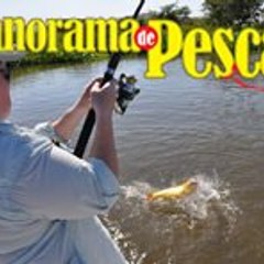 Panorama de Pesca