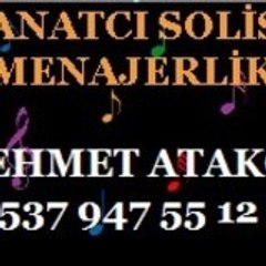 Sanatci Solist Menajerlik
