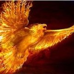 x_Phoenix_x