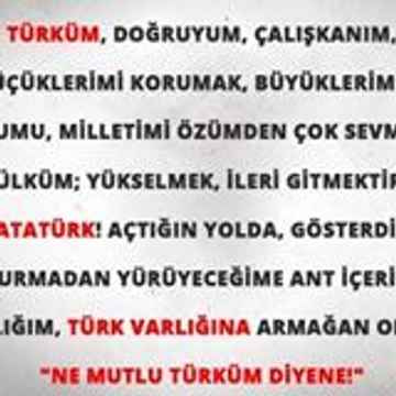 mrmert23