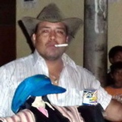 SANTY VIENRICH