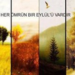 AHMET ışık