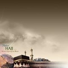 majidb81