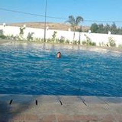 Amine Arabi Ghernati