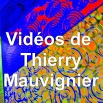 thierry mauvignier