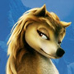Neshoba's Dream Siberian Husky