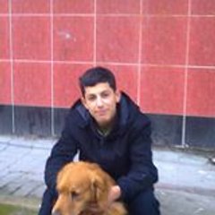 Bilal Köse