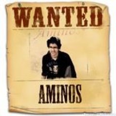 Aminos Zgaya